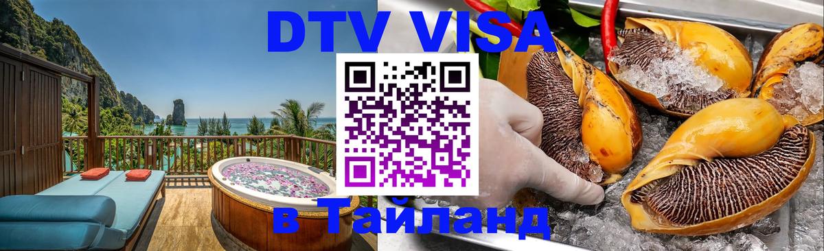 Оформление DTV визы под ключ: стоимость и тарифы, только загранпаспорт - 05.12.2025 